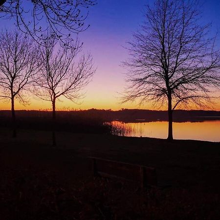 LA PART DU LAC, wifi, terasse, piscine, vélos Aureilhan  Exterior foto