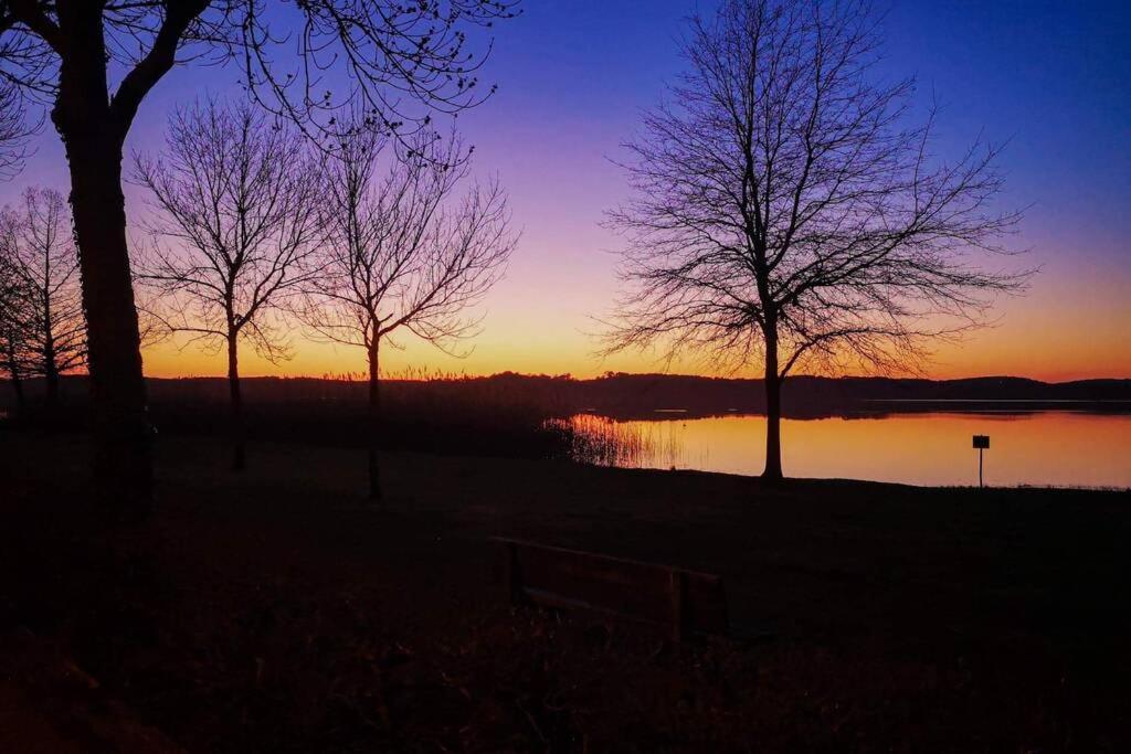 LA PART DU LAC, wifi, terasse, piscine, vélos Aureilhan  Exterior foto